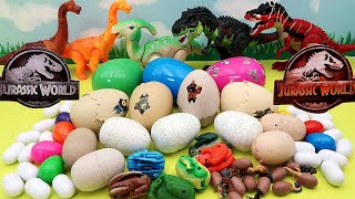 50 Dinosaur Eggs  Jurassic World Egg Transformer Dino Egg Walking And Laying Egg Dinosaur [upl. by Gem68]