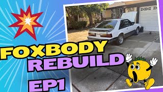 Project Foxbody Rebuilding My 1983 Mustang EP1 [upl. by Haliled265]