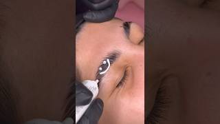 Brow lamination  tint on coarse brows🩵✨ browsbybrecia eyebrow shorts eyebrowtutorial [upl. by Levan]