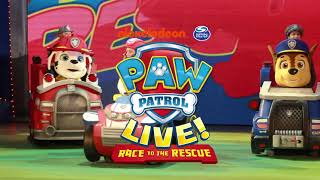 Paw Patrol live in South Africa 2024 [upl. by Ellehsram]