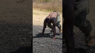 Larry wheels doing Burpees with Marines [upl. by Irwinn]