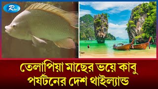 ছোটো তেলাপিয়ার আতঙ্কে গোটা দেশ কী হতে যাচ্ছে থাইল্যান্ডে  Tilapia  Blackchin  Thailand  Rtv [upl. by Acirej]