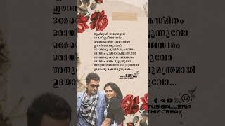 Kannadi Vaathil HD Lyrics Status💕 prithviraj malayalamlyrics malayalamlyrical lyricsstatus [upl. by Ot988]