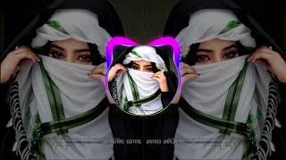 New Arabic Remix  Bass Boosted ریمیکس 2024   SlowedReverb  New Song 2024 [upl. by Mosera]