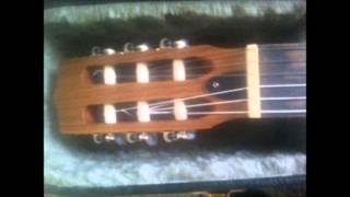 Kamouraska guitar [upl. by Philipines729]