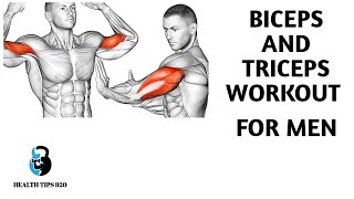 Biceps and Triceps Workout No Equipment Needed [upl. by Abraham742]