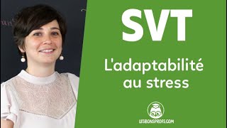 Ladaptabilité au stress  SVT  Terminale  Les Bons Profs [upl. by Elagibba405]