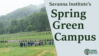 Savanna Institute’s Campus in Spring Green Wisconsin  Agroforestry Demonstration Farm Tour [upl. by Halimeda]