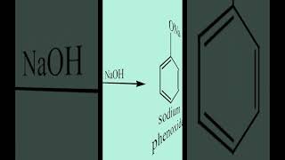 Kolbe’s Schmit reaction  phenol  Salicylic Acid  cbseclass12  Organic Chemistry [upl. by Adierf175]