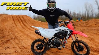 Building New Backyard Pit Bike Track Mod CRF110 First Ride [upl. by Cantlon]