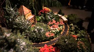 Chicago Botanic Garden Holiday Train Display [upl. by Columbine]