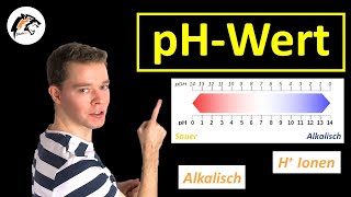 Einführung pH und pOHWert Berechnung bei starken Säuren und Basen [upl. by Adnahsar903]