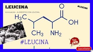 LEUCINA AMINOÁCIDO  ¿Qué es la leucina Leucina 😱😱 [upl. by Ahsieki]