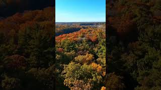 Manistee National Forest Oct 19th 2024 travel nature drone michigan autumn fallcolors fall [upl. by Storm368]