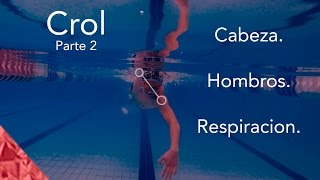 Como nadar estilo crol correctamente Natacion libre Respiracion y hombros [upl. by Maryl860]