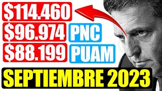 💸😮AUMENTO y COBRO DE 💲114460  💲27000 EXTRAS ¿QUIENES LO COBRAN JUBILADOS Y PENSIONADOS PNC ANSES [upl. by Aleacin]