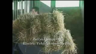 veicoli elettrici Zallys dumper jet  wwwzallyscom [upl. by Conlan387]