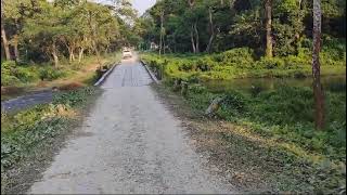 ALIPURDUAR CHILAPATA FOREST Like subscribe koredin [upl. by Ruberta]