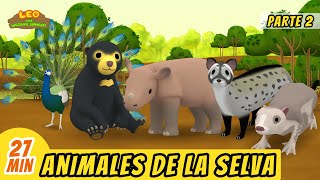 Animales de la Selva Episodio Compilación Parte 22 Español  Leo El Explorador  Animación [upl. by Nosaj]