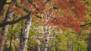 Kushiro  Autumn leaves volcano hiking and local lifestyle  Off the beaten path Japan travel [upl. by Lotte]