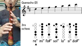 Notas de quenacho afinado en Re mayor [upl. by Mariejeanne]