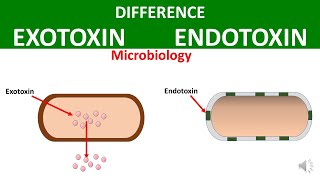 Difference between Exotoxin and Endotoxin [upl. by Evreh131]