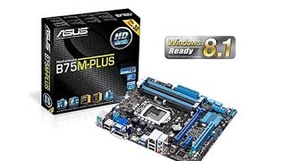 Asus B75MPLUS Motherboard  UnBox [upl. by Zales316]