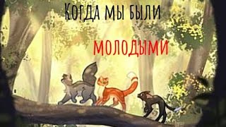 Коты воителиклипКогда мы были молодымиРуки Вверх [upl. by Pancho916]