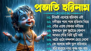 Bengali Horinam Kirton Song  মধুর সুরে রাধে কৃষ্ণা গান  Provati Kirton Bengali Song  Horinam Song [upl. by Ecinev]