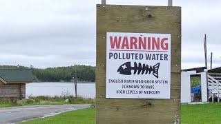 Grassy Narrows First Nation secures 689M in funding for mercury care [upl. by Orutra]