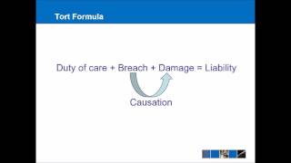 Introduction to Tort Law [upl. by Malia]