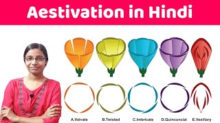 Aestivation in Hindi [upl. by Initof]