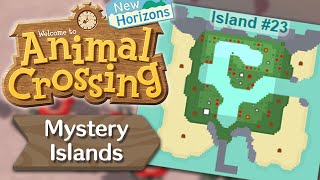 Mystery Islands for Dummies  Animal Crossing New Horizons [upl. by Tdnaltroc]