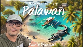 Strand Hopping mit Knastbesuch und Krokodilen  Puerto Princesa [upl. by Lesli]