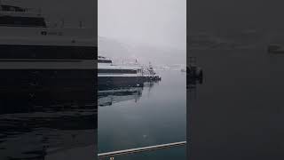 PROMENADE EN BATEAU À TROMSO EN NORVÈGE [upl. by Fidelas90]