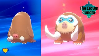 HOW TO Evolve Piloswine into Mamoswine in Pokémon Sword and Shield [upl. by Oznofla]