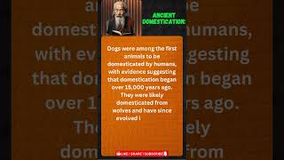 Ancient Domestication Cats and Dogs Fact entertainment educational funquizs quiz fun [upl. by Inanaup919]