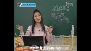 iTTV UPSR Year 6 Science 4 Interaction Among Living Things Groups Animals and Solitary Animals [upl. by Tewfik]