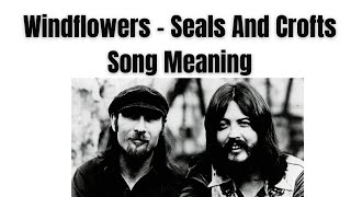 Windflowers  Seals And Crofts  Song Meaning [upl. by Bhayani543]