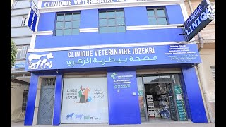 Clinique Veterinaire IDZEKRI [upl. by Cecilla596]