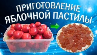 Как сделать пастилу из яблок в домашних условиях [upl. by Gnanmos]