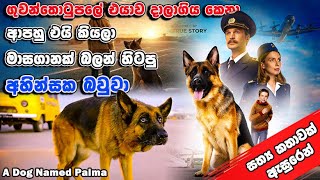 ඔයත් සතෙක් හදනවනම් මේ වගේ වැඩ කරන්න එපා  A Dog Named Palma  Movie Explain In Sinhala [upl. by Jessalyn]