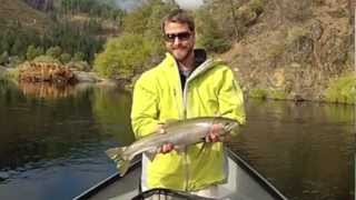 Trinity River Steelhead  Hookem Heckys Guide Service [upl. by Quillan]