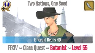 FFXIV Botanist Quest Level 55  Heavensward  Two Nations One Seed Emerald Beans HQ [upl. by Chemarin]