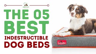 The Best Indestructible Dog Beds [upl. by Anner808]