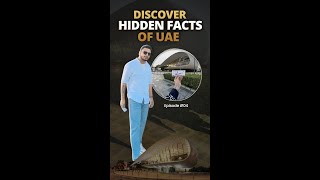 Exploring DUBAIS Hidden Gems EP4 dubai explore exploredubai [upl. by Munmro374]