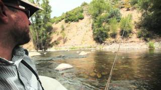 Fly Fishing Film Tour Short About Beattie Outdoor Productions [upl. by God]