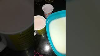 yogurt casero con leche en polvo y sin máquina [upl. by Fisher]