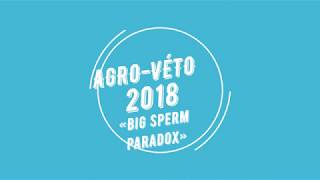 Agro véto 2018 Analyse de documents «Big sperm paradox» [upl. by Villiers]