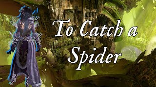 To Catch a Spider [upl. by Oech]